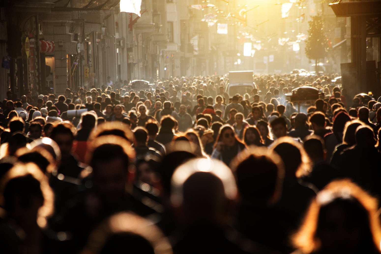 Use our Google Ads management services to reach more prospects in a scalable fashion